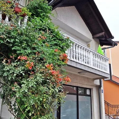 Apartman Dina * Tuzla